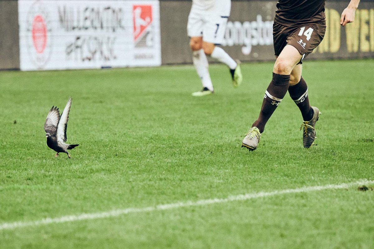 Nach dem Spiel – Karlsruher SC (H) – Spieltag 12 – Saison 2019/2020