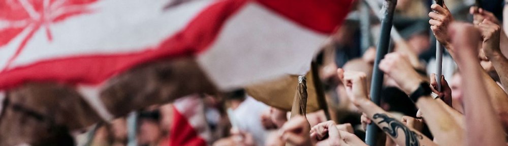 Viele Hände, Fäuste und Fahnen im Block des FC St. Pauli