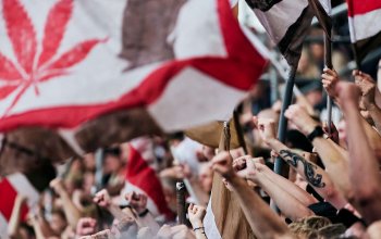 Viele Hände, Fäuste und Fahnen im Block des FC St. Pauli